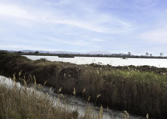 Les Regates-4 By Interhome Hyères